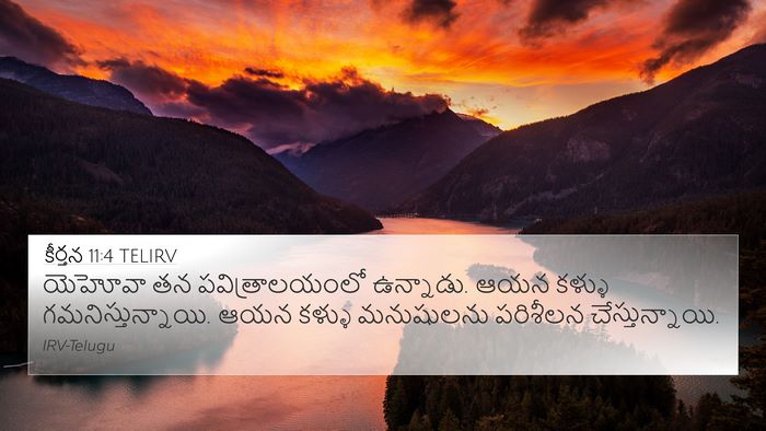 కీర్తన 11:4 TELIRV Bible Verse Image