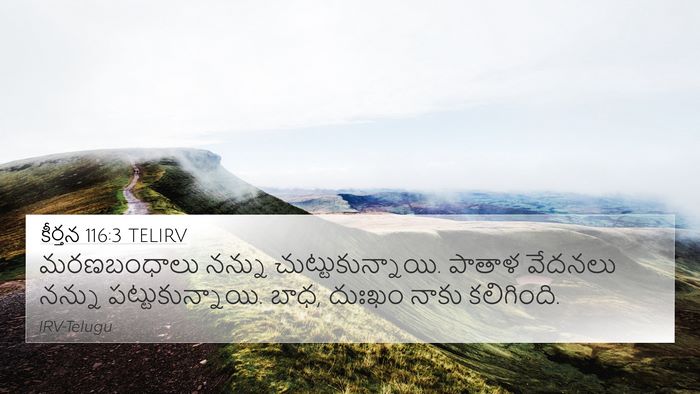 కీర్తన 116:3 TELIRV Bible Verse Image