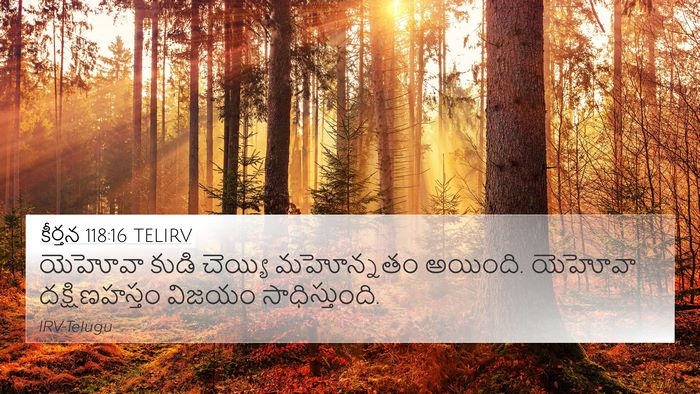 కీర్తన 118:16 TELIRV Bible Verse Image