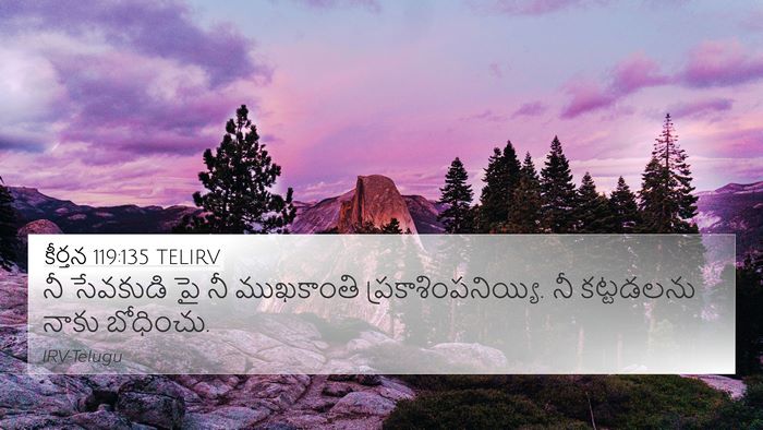 కీర్తన 119:135 TELIRV Bible Verse Image