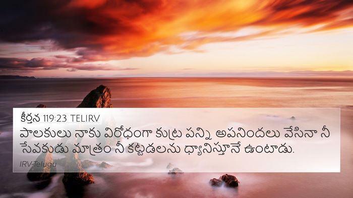 కీర్తన 119:23 TELIRV Bible Verse Image