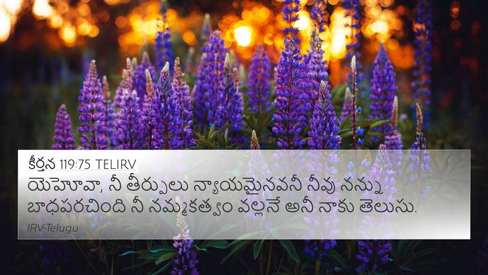 కీర్తన 119:75 TELIRV Bible Verse Image