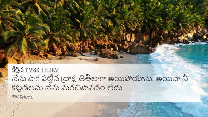 కీర్తన 119:83 TELIRV Bible Verse Image