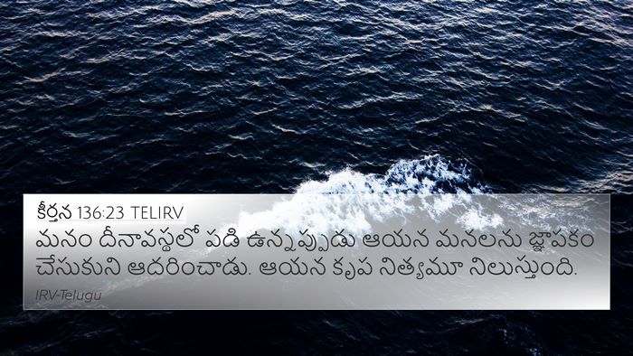 కీర్తన 136:23 TELIRV Bible Verse Image