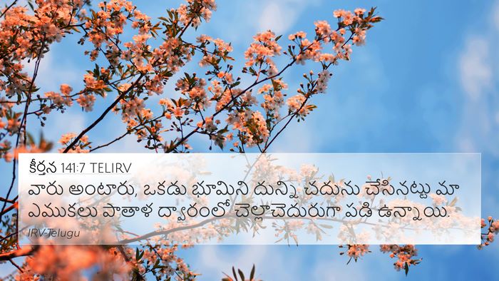 కీర్తన 141:7 TELIRV Bible Verse Image