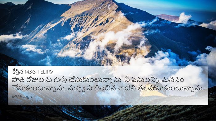 కీర్తన 143:5 TELIRV Bible Verse Image
