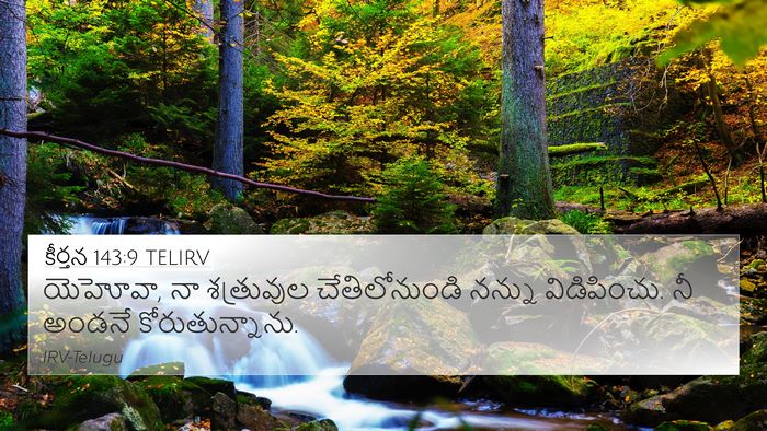 కీర్తన 143:9 TELIRV Bible Verse Image