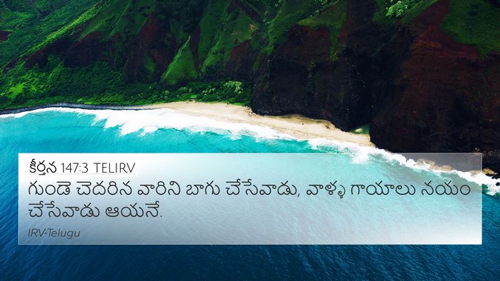 కీర్తన 147:3 TELIRV Bible Verse Image