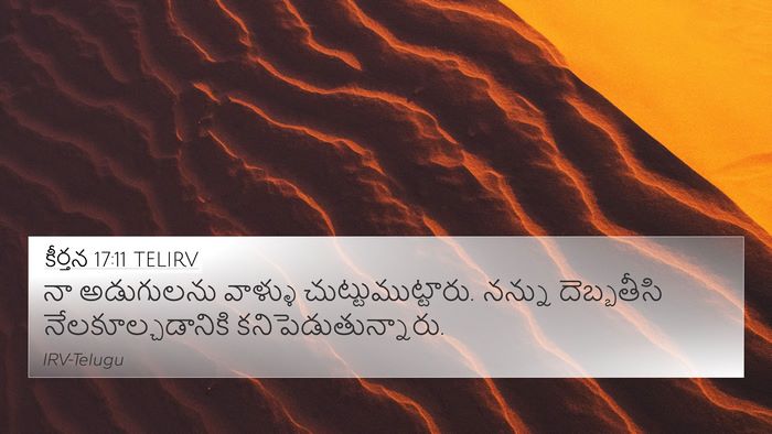 కీర్తన 17:11 TELIRV Bible Verse Image