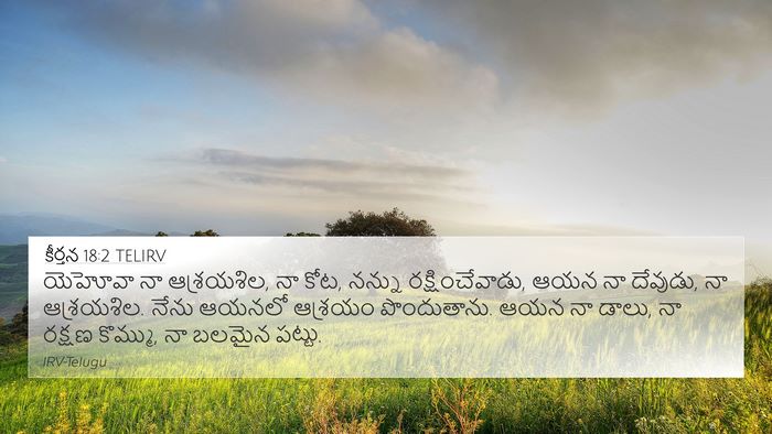 కీర్తన 18:2 TELIRV Bible Verse Image