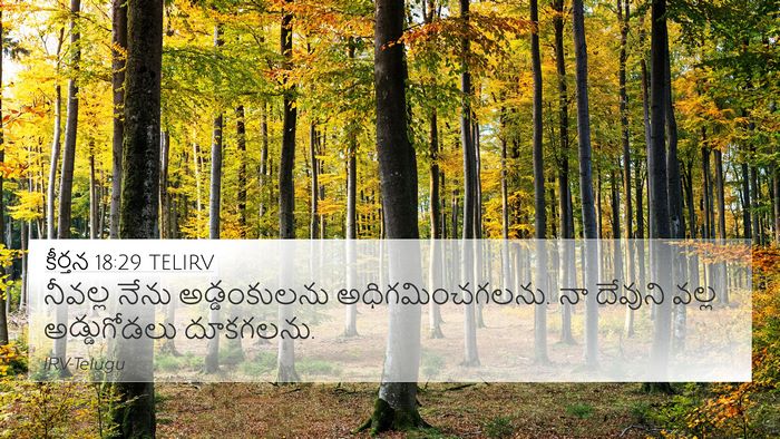 కీర్తన 18:29 TELIRV Bible Verse Image