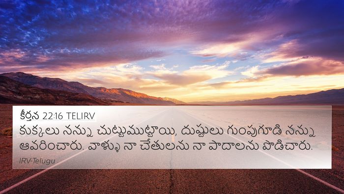 కీర్తన 22:16 TELIRV Bible Verse Image