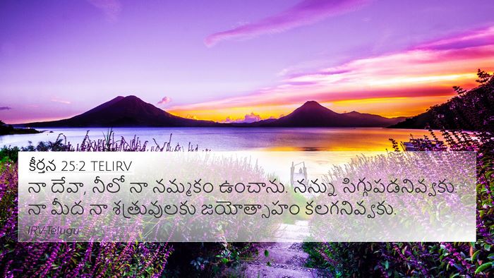 కీర్తన 25:2 TELIRV Bible Verse Image