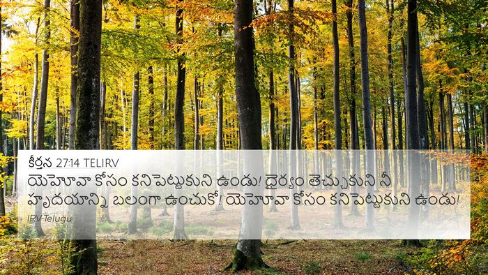 కీర్తన 27:14 TELIRV Bible Verse Image