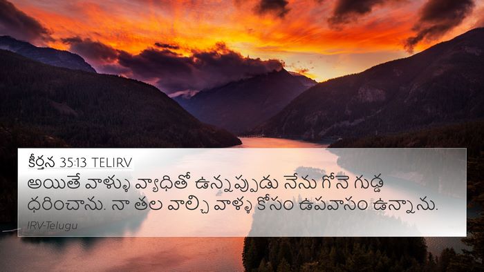 కీర్తన 35:13 TELIRV Bible Verse Image