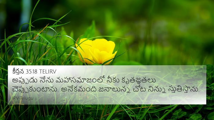 కీర్తన 35:18 TELIRV Bible Verse Image
