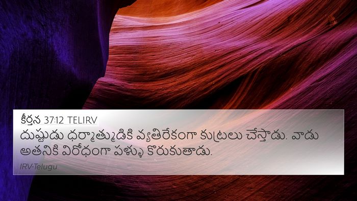 కీర్తన 37:12 TELIRV Bible Verse Image