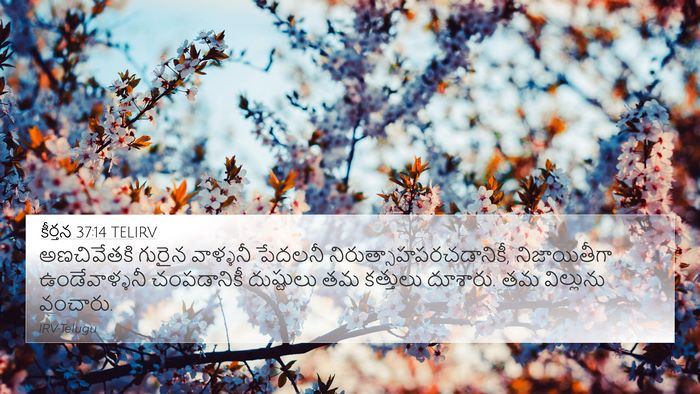 కీర్తన 37:14 TELIRV Bible Verse Image
