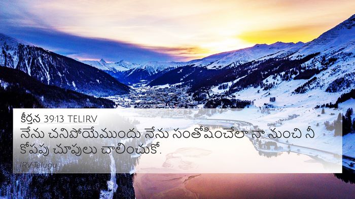 కీర్తన 39:13 TELIRV Bible Verse Image