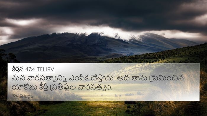 కీర్తన 47:4 TELIRV Bible Verse Image