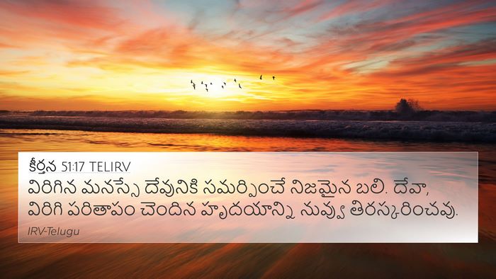 కీర్తన 51:17 TELIRV Bible Verse Image