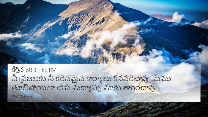 కీర్తన 60:3 TELIRV Bible Verse Image
