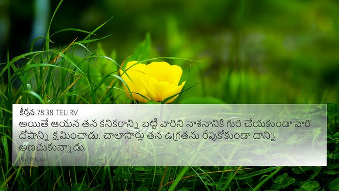 కీర్తన 78:38 TELIRV Bible Verse Image