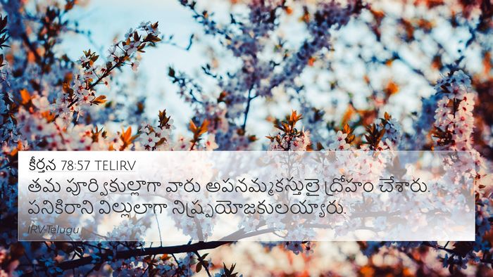 కీర్తన 78:57 TELIRV Bible Verse Image