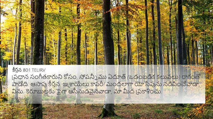 కీర్తన 80:1 TELIRV Bible Verse Image