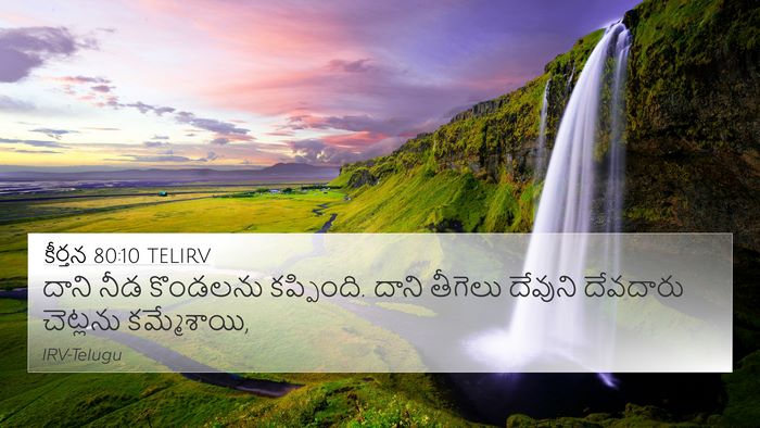 కీర్తన 80:10 TELIRV Bible Verse Image