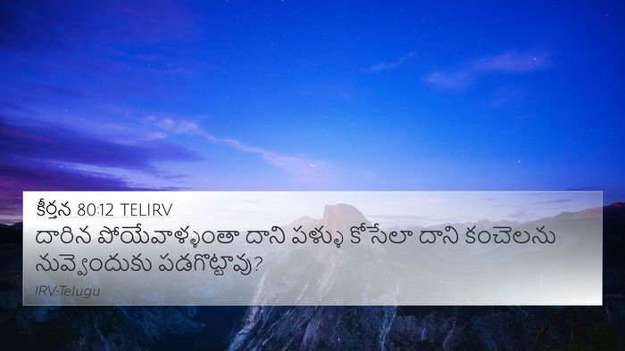 కీర్తన 80:12 TELIRV Bible Verse Image