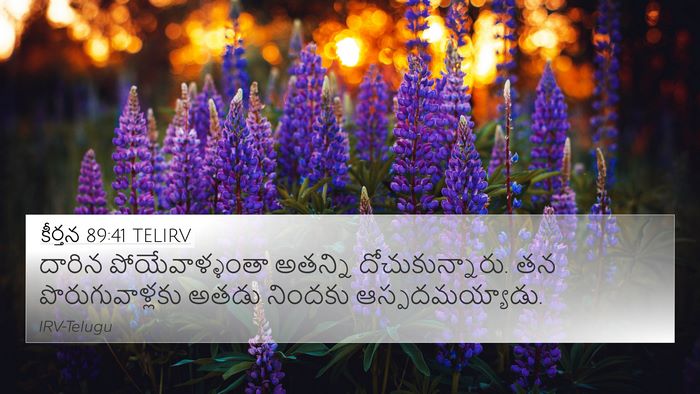 కీర్తన 89:41 TELIRV Bible Verse Image