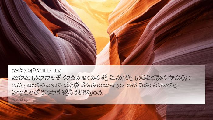 కొలస్సీ పత్రిక 1:11 TELIRV Bible Verse Image