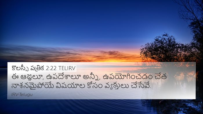 కొలస్సీ పత్రిక 2:22 TELIRV Bible Verse Image