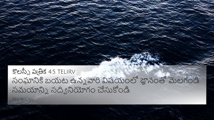 కొలస్సీ పత్రిక 4:5 TELIRV Bible Verse Image