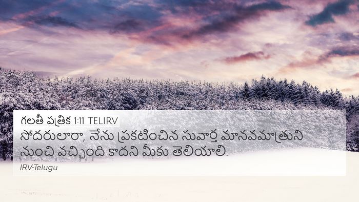 గలతీ పత్రిక 1:11 TELIRV Bible Verse Image