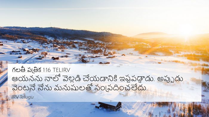 గలతీ పత్రిక 1:16 TELIRV Bible Verse Image