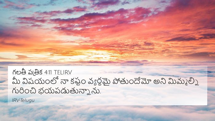 గలతీ పత్రిక 4:11 TELIRV Bible Verse Image