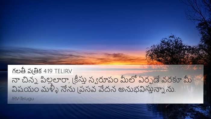 గలతీ పత్రిక 4:19 TELIRV Bible Verse Image