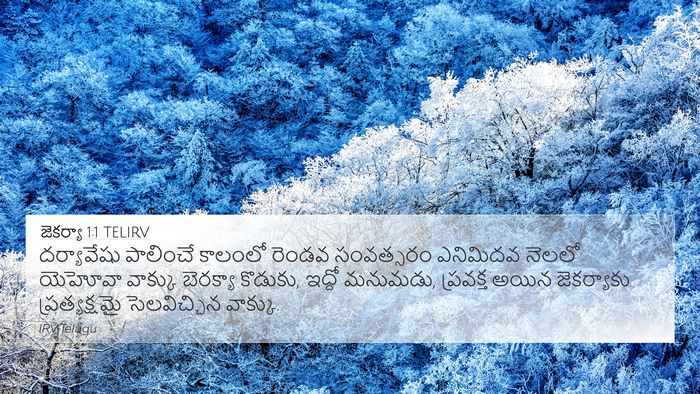 జెకర్యా 1:1 TELIRV Bible Verse Image