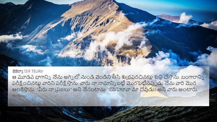 జెకర్యా 13:9 TELIRV Bible Verse Image