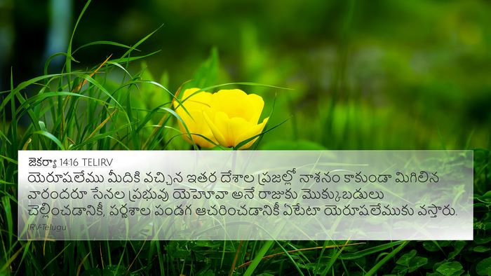 జెకర్యా 14:16 TELIRV Bible Verse Image