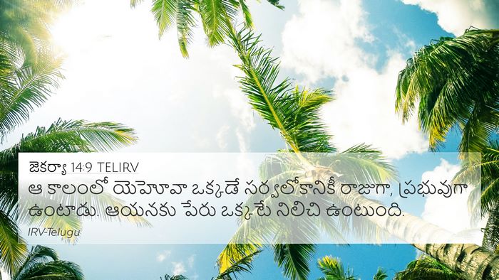జెకర్యా 14:9 TELIRV Bible Verse Image