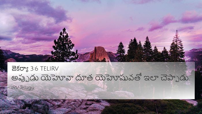జెకర్యా 3:6 TELIRV Bible Verse Image
