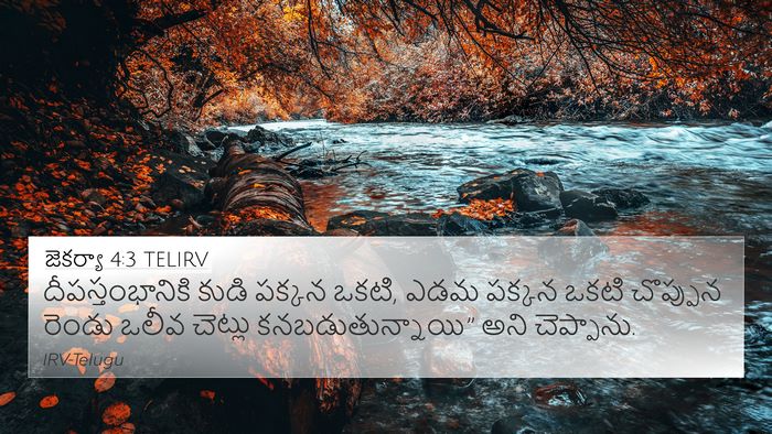 జెకర్యా 4:3 TELIRV Bible Verse Image