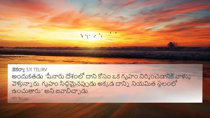 జెకర్యా 5:11 TELIRV Bible Verse Image