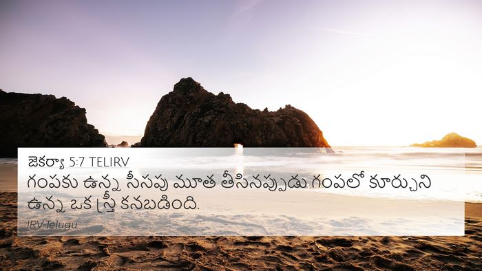 జెకర్యా 5:7 TELIRV Bible Verse Image