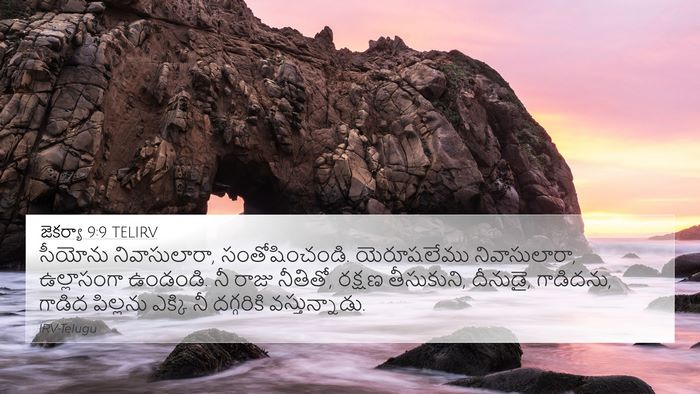 జెకర్యా 9:9 TELIRV Bible Verse Image