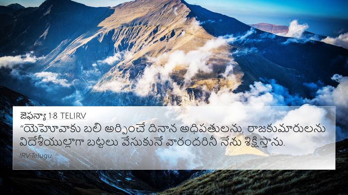 జెఫన్యా 1:8 TELIRV Bible Verse Image