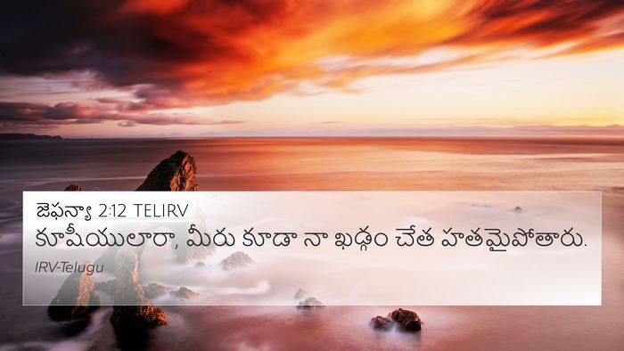 జెఫన్యా 2:12 TELIRV Bible Verse Image